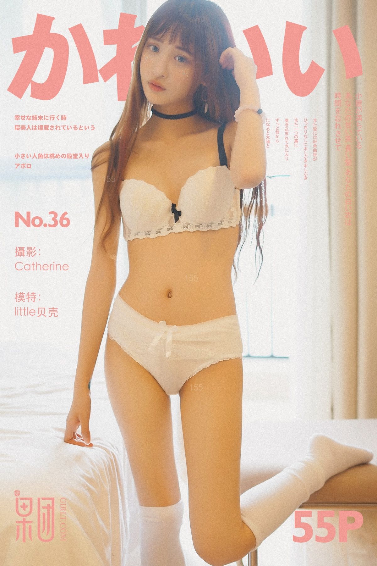 little贝壳Vol. 036