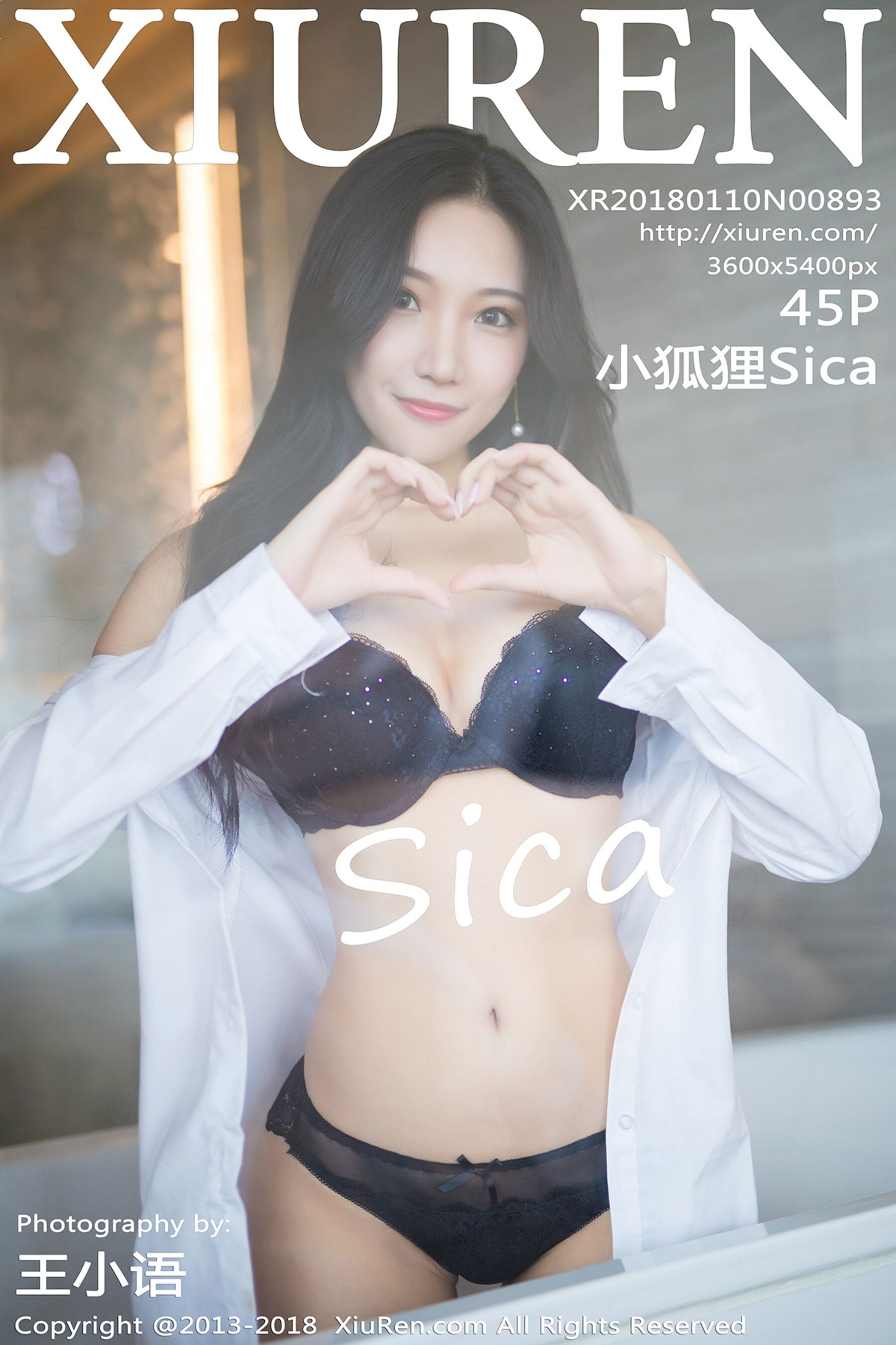 小狐狸SicaVol. 0893