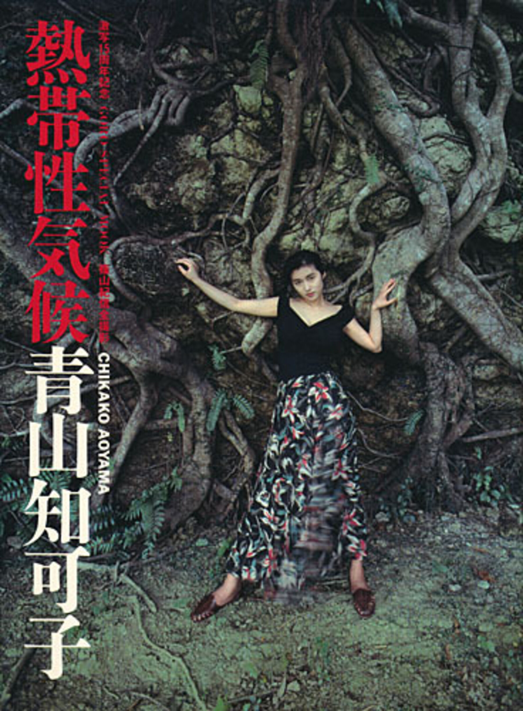 青山知可子《热帯性気候》Vol. 1990.5